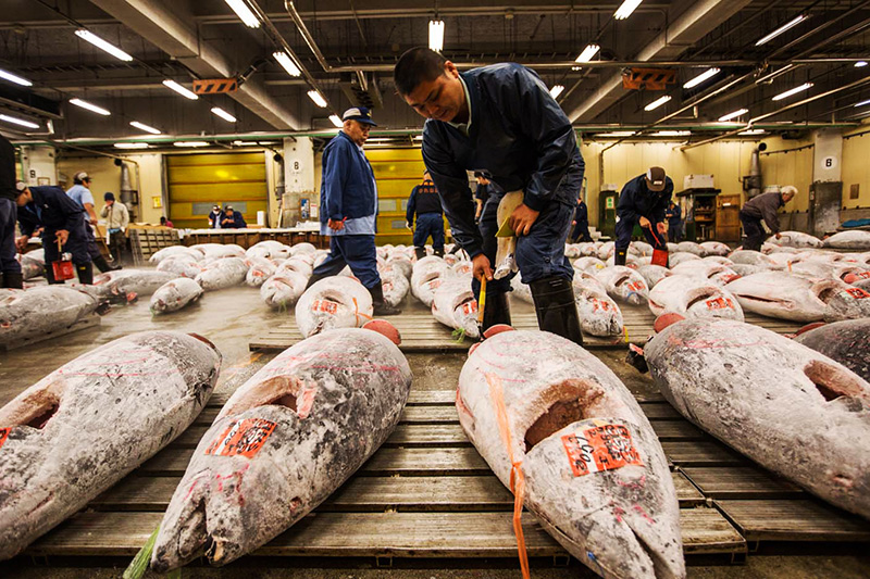 Chợ cá Tsukiji, Tokyo, Nhật Bản