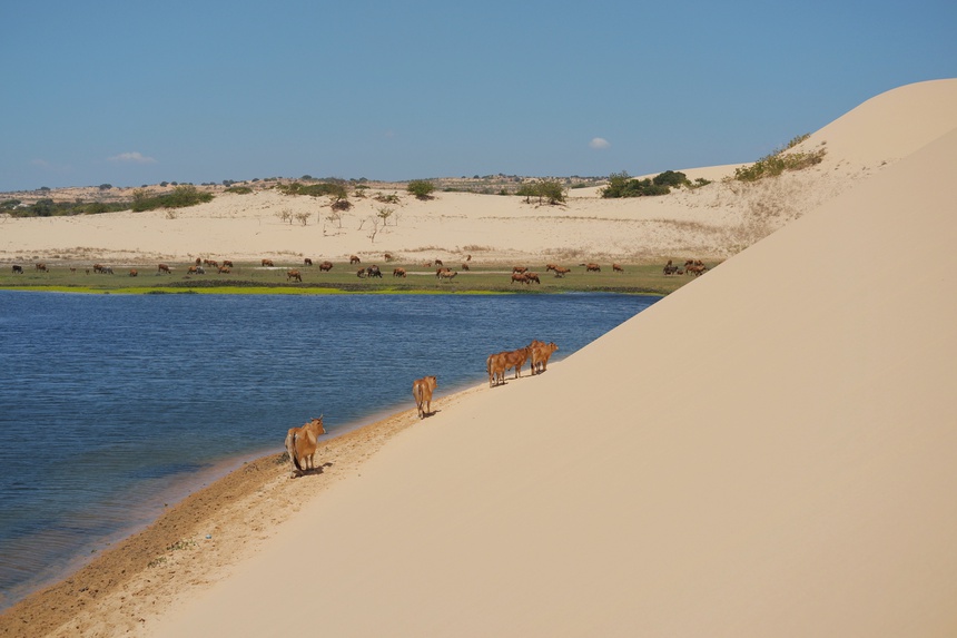 Thời điểm lý tưởng để tham quan đồi cát bay là vào mùa khô (tháng 12 - tháng 4)