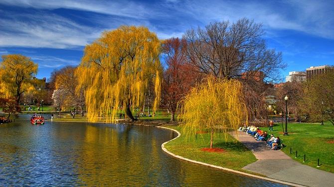Công viên Boston Common được xem như lá phổi xanh của thành phố.