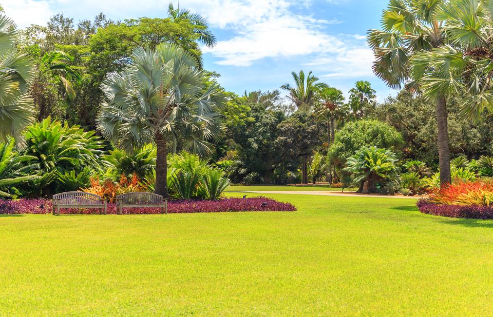 Vườn bách thảo tại Miami.