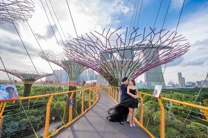 Công trình công viên Gardens by the Bay, Singapore